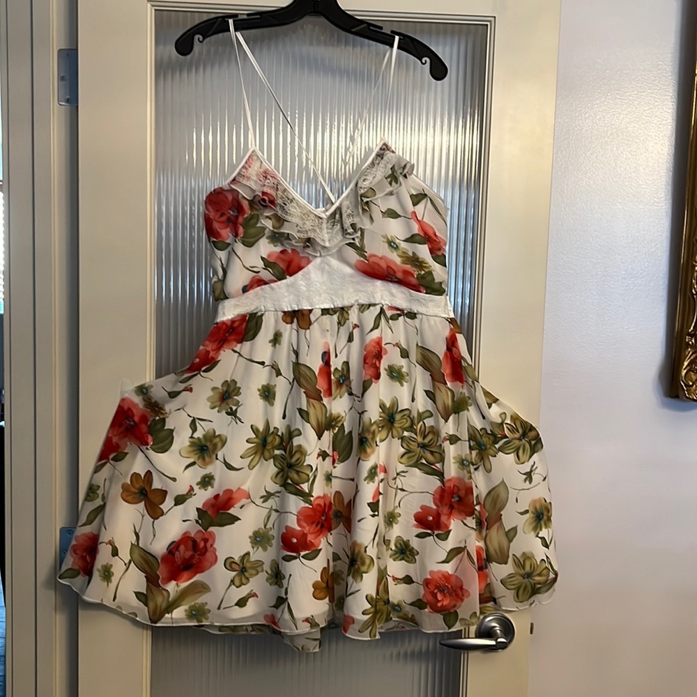 Lilly Lou Pink Red White Floral Lace Trim Ruffle Dress Size XL